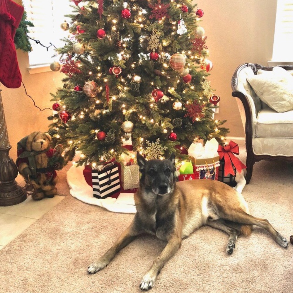 Meet your Posher, Jenn